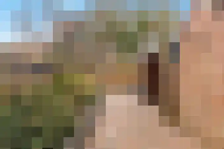 Vlietwaard 174 Alkmaar thumbnail 17