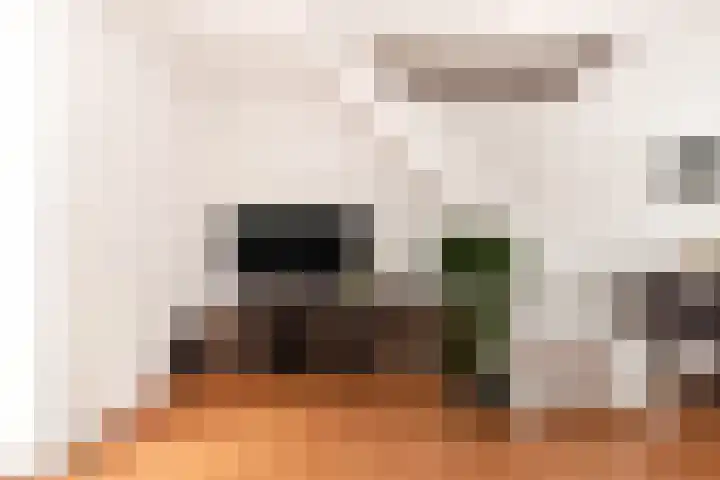 Vlietwaard 174 Alkmaar thumbnail 21
