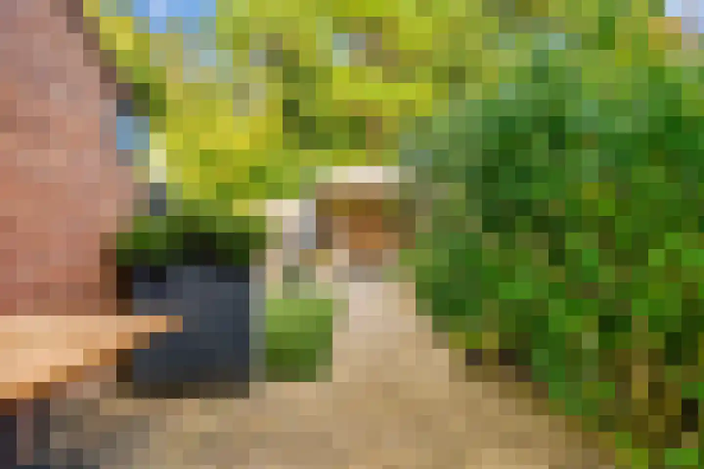 Vlietwaard 186 Alkmaar thumbnail 34