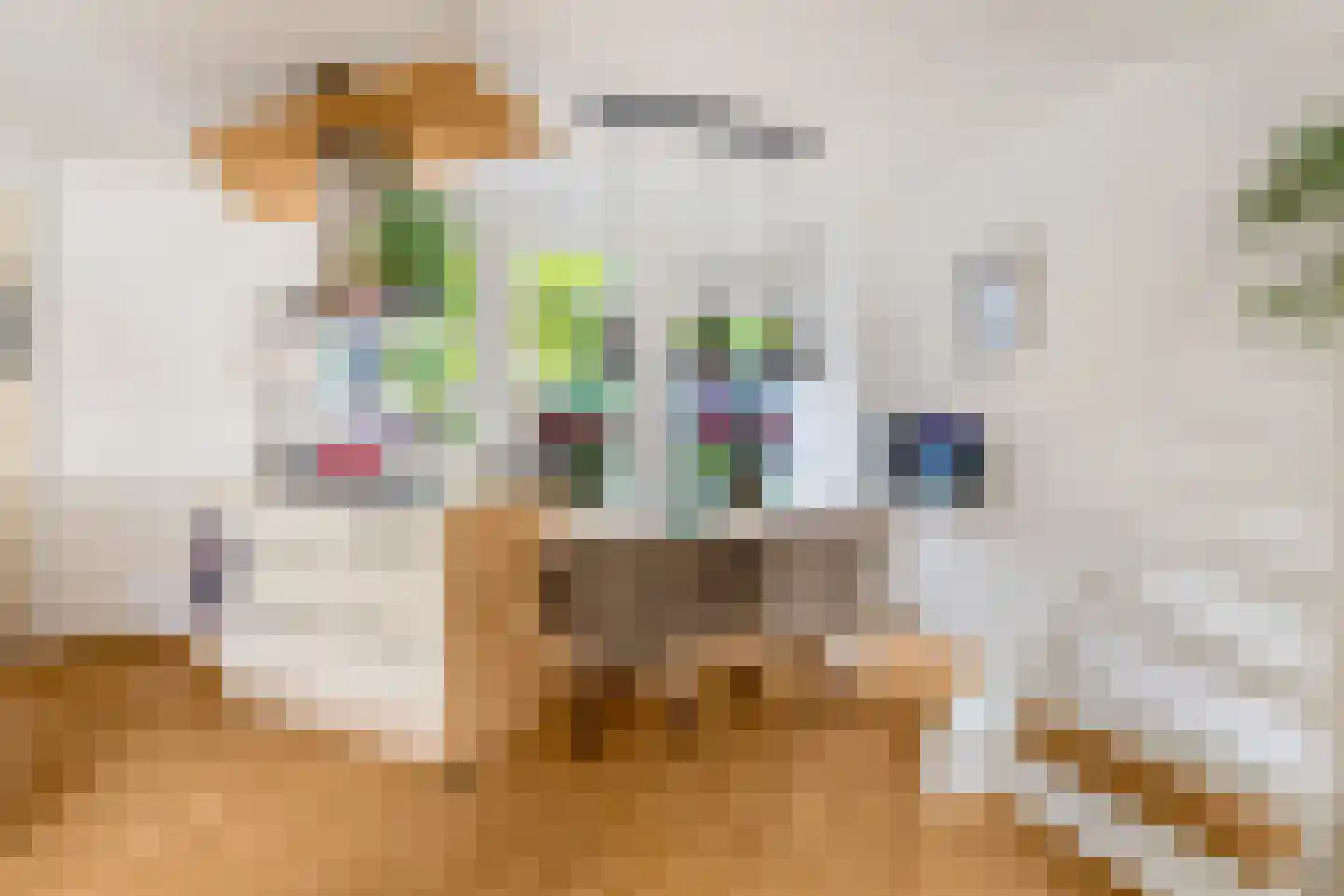 Vlietwaard 186 Alkmaar thumbnail 6