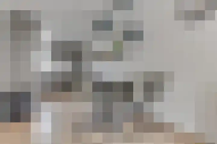 Vlietwaard 196 Alkmaar thumbnail 12