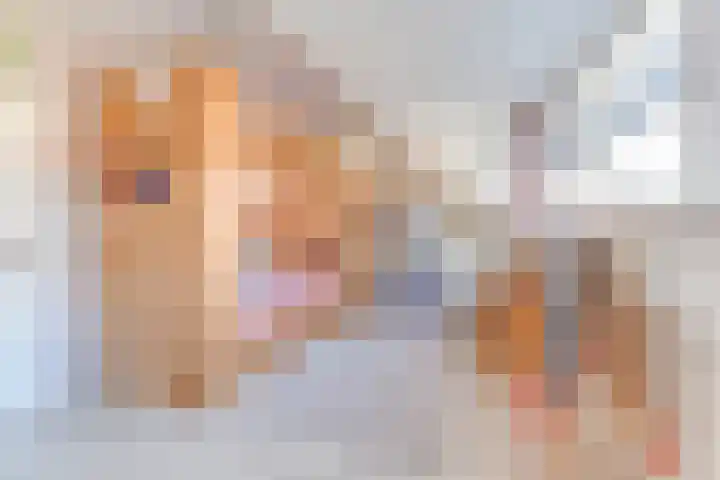 Vlietwaard 196 Alkmaar thumbnail 22