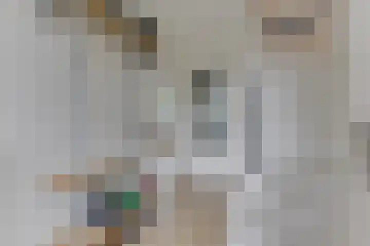 Vlietwaard 196 Alkmaar thumbnail 6