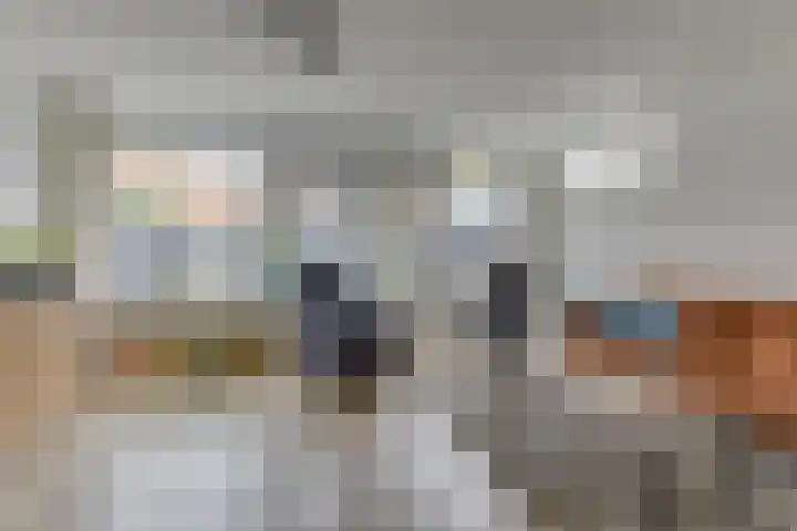 Vlietwaard 196 Alkmaar thumbnail 7