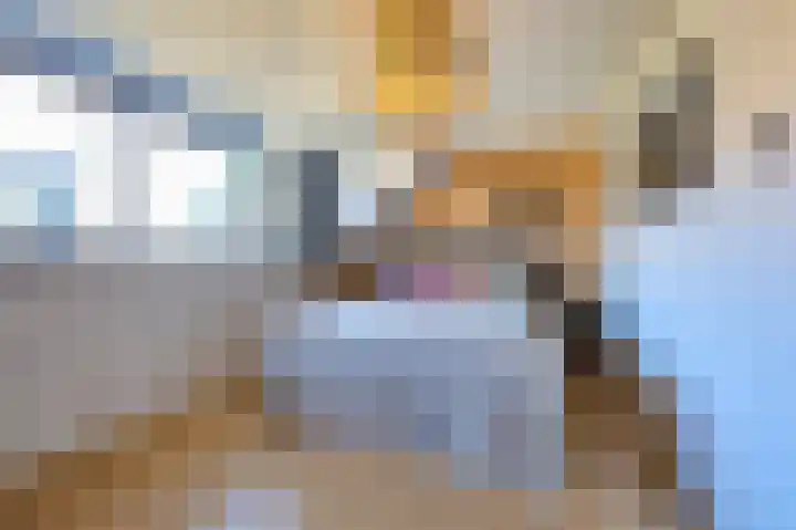 Vlietwaard 197 Alkmaar thumbnail 19