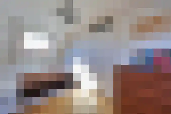 Vlietwaard 197 Alkmaar thumbnail 30