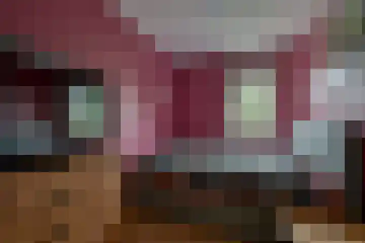 Vlietwaard 21 Alkmaar thumbnail 12