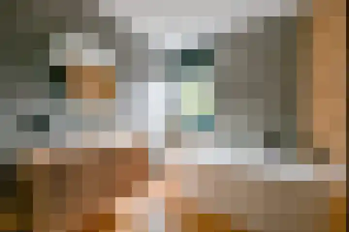 Vlietwaard 21 Alkmaar thumbnail 13