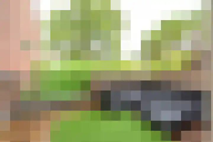 Vlietwaard 21 Alkmaar thumbnail 7