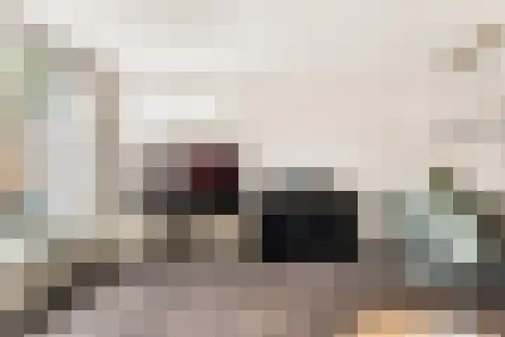 Vlietwaard 23 Alkmaar thumbnail 17
