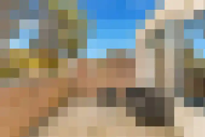 Vlietwaard 23 Alkmaar thumbnail 22