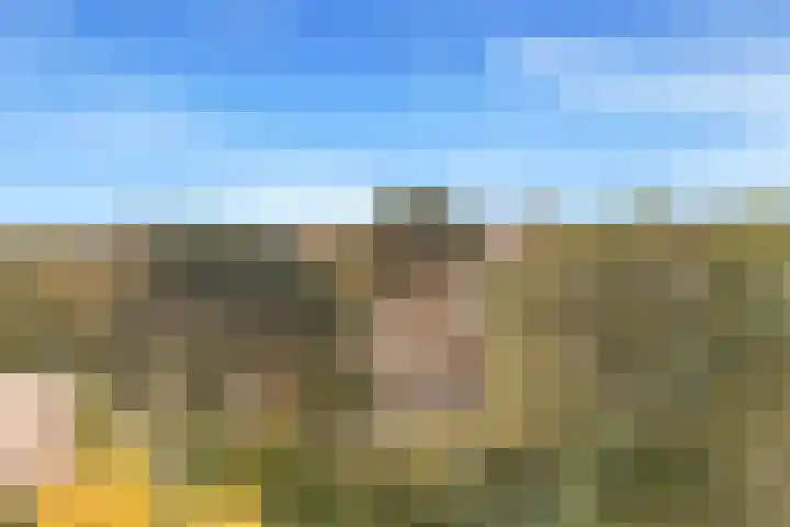 Vlietwaard 23 Alkmaar thumbnail 39