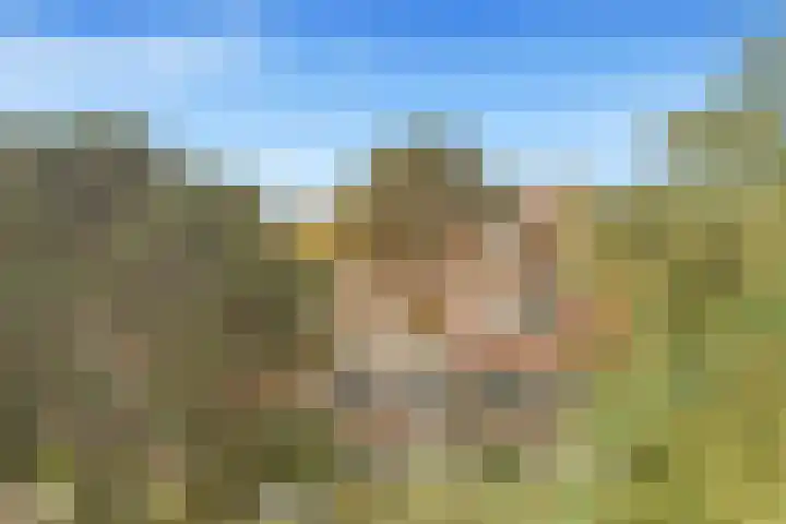 Vlietwaard 23 Alkmaar thumbnail 40