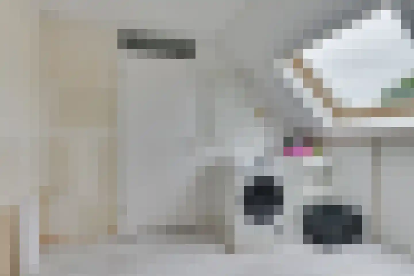 Vlietwaard 327 Alkmaar thumbnail 39