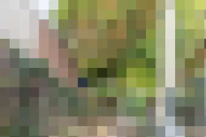 Vlietwaard 331 Alkmaar thumbnail 10