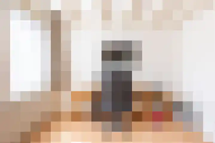 Vlietwaard 331 Alkmaar thumbnail 16