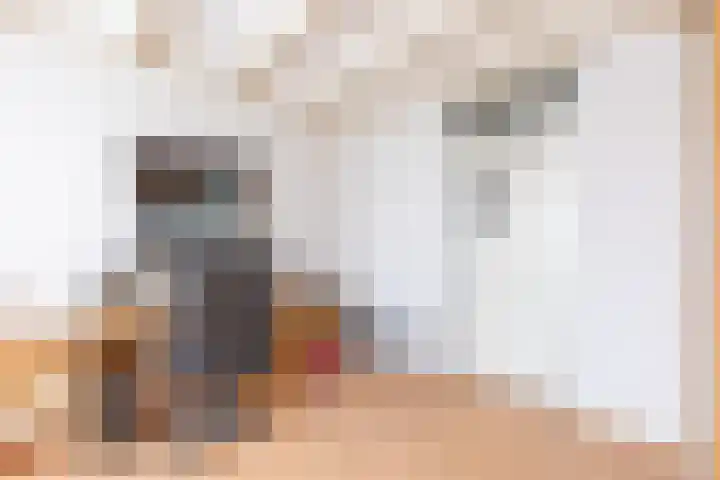 Vlietwaard 331 Alkmaar thumbnail 17
