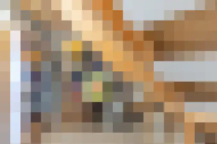 Vlietwaard 331 Alkmaar thumbnail 25