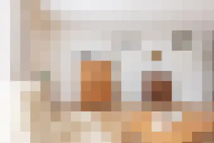 Vlietwaard 331 Alkmaar thumbnail 5