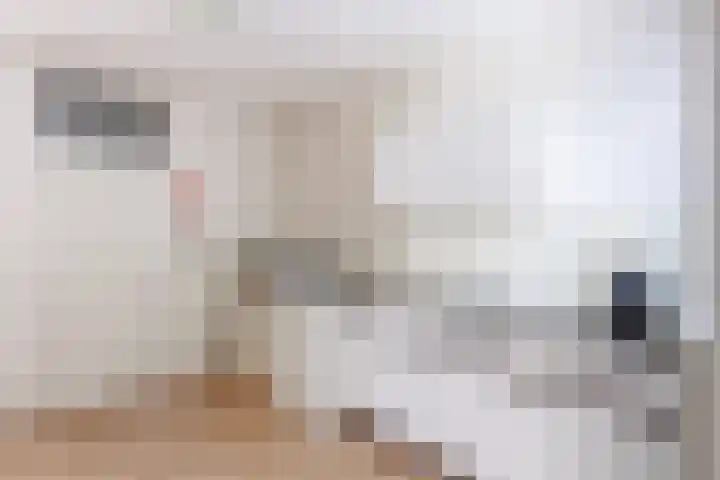 Vlietwaard 331 Alkmaar thumbnail 8