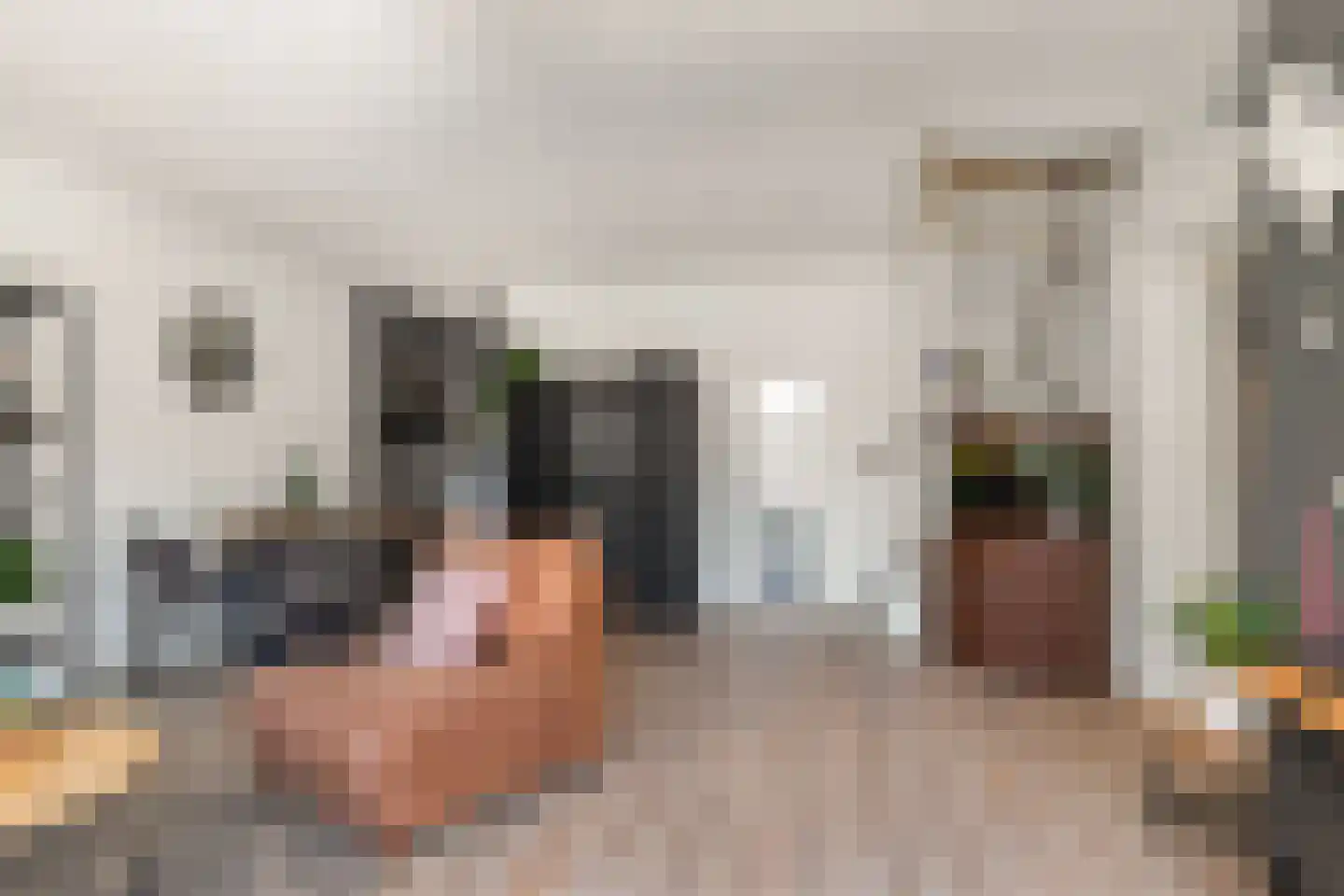 Vlietwaard 412 Alkmaar thumbnail 17
