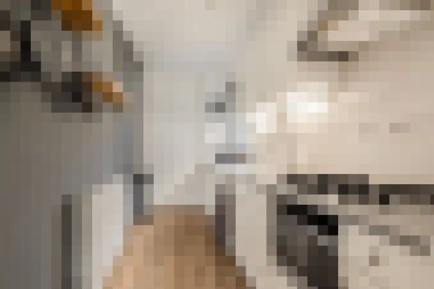 Vlietwaard 412 Alkmaar thumbnail 18