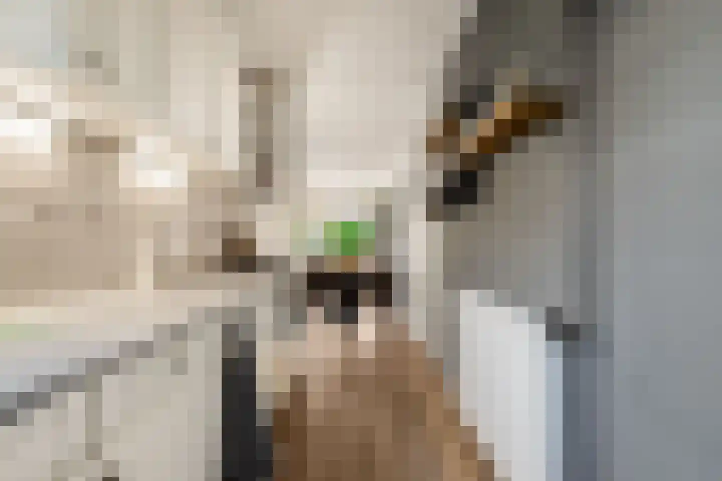 Vlietwaard 412 Alkmaar thumbnail 19