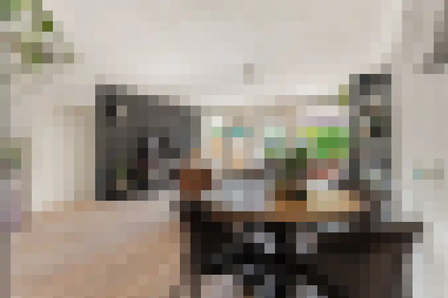 Vlietwaard 412 Alkmaar thumbnail 20