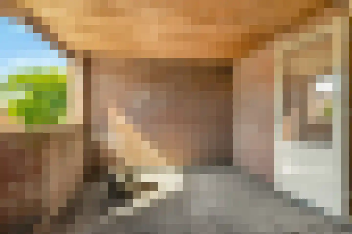 Vlietwaard 412 Alkmaar thumbnail 26