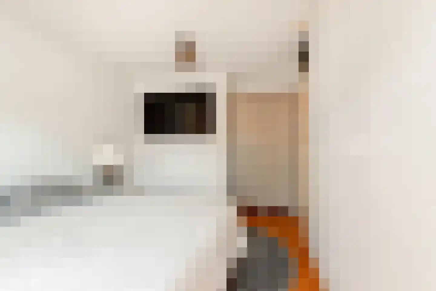 Vlietwaard 412 Alkmaar thumbnail 34