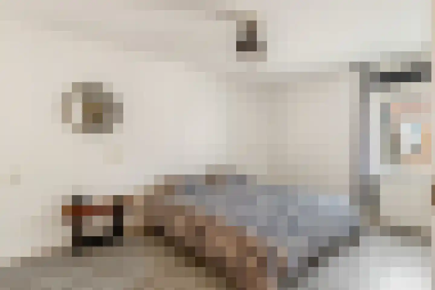 Vlietwaard 412 Alkmaar thumbnail 35