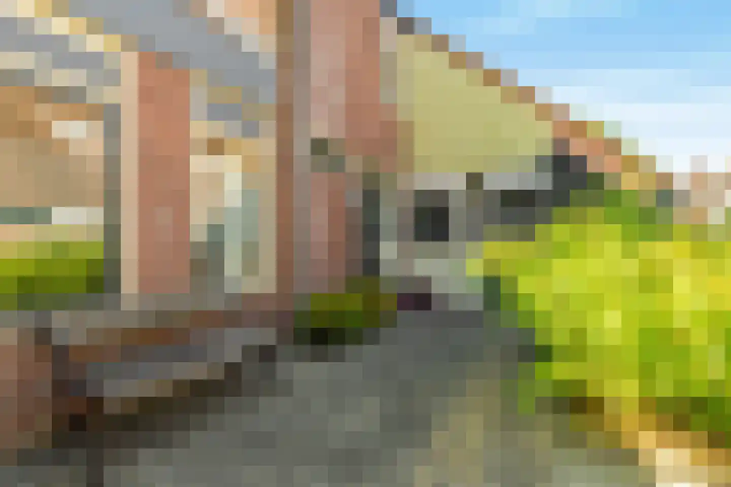 Vlietwaard 412 Alkmaar thumbnail 6