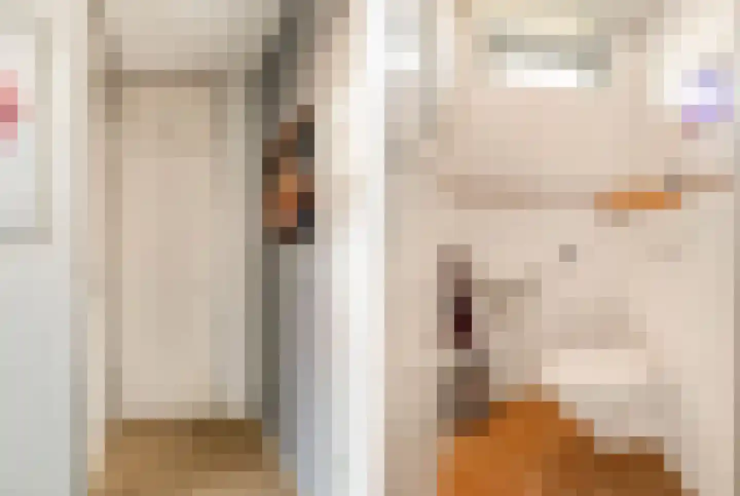 Vlietwaard 412 Alkmaar thumbnail 8