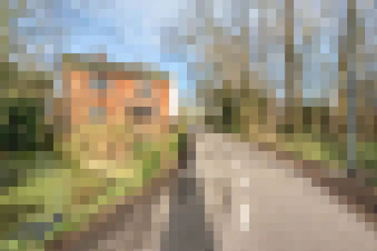 Vlietweg 1 Leiden thumbnail 42