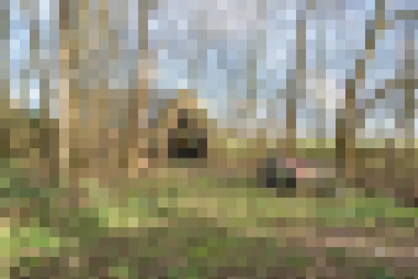 Vlietweg 1 Leiden thumbnail 43