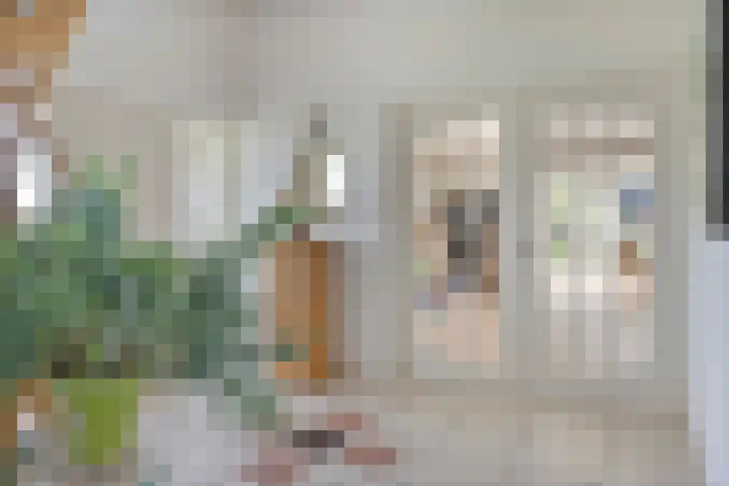 Vlietweg 10 Naaldwijk thumbnail 12