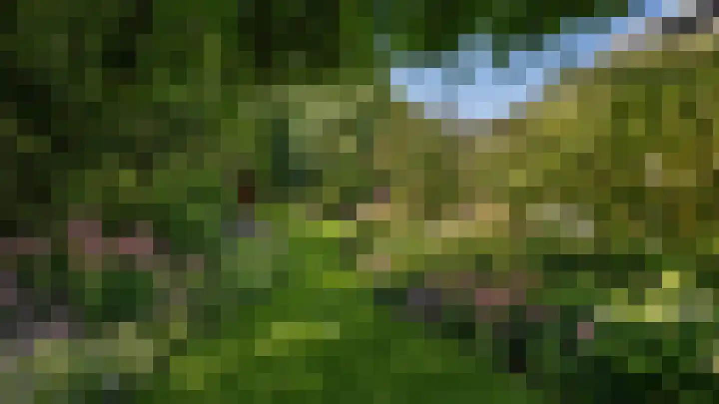 Vlietweg 10 Naaldwijk thumbnail 31