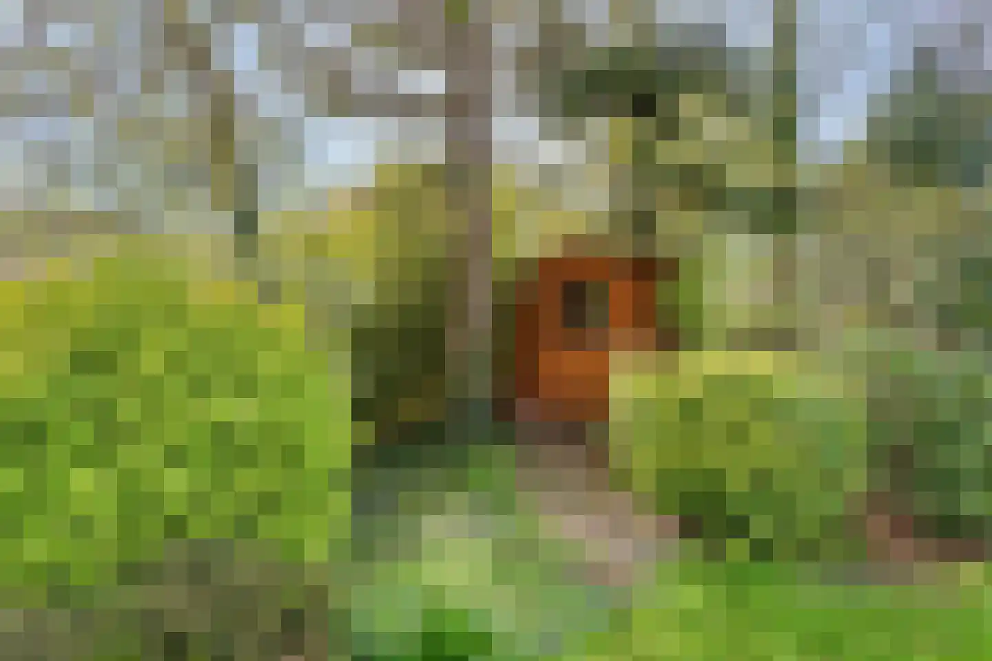 Vlietweg 10 Naaldwijk thumbnail 32