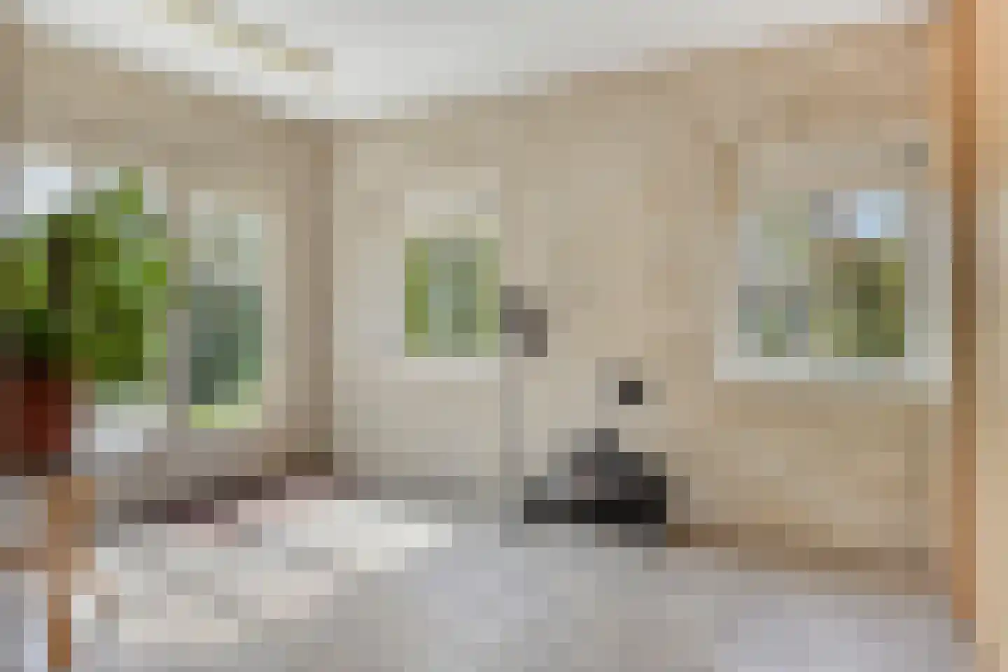 Vlietweg 10 Naaldwijk thumbnail 32