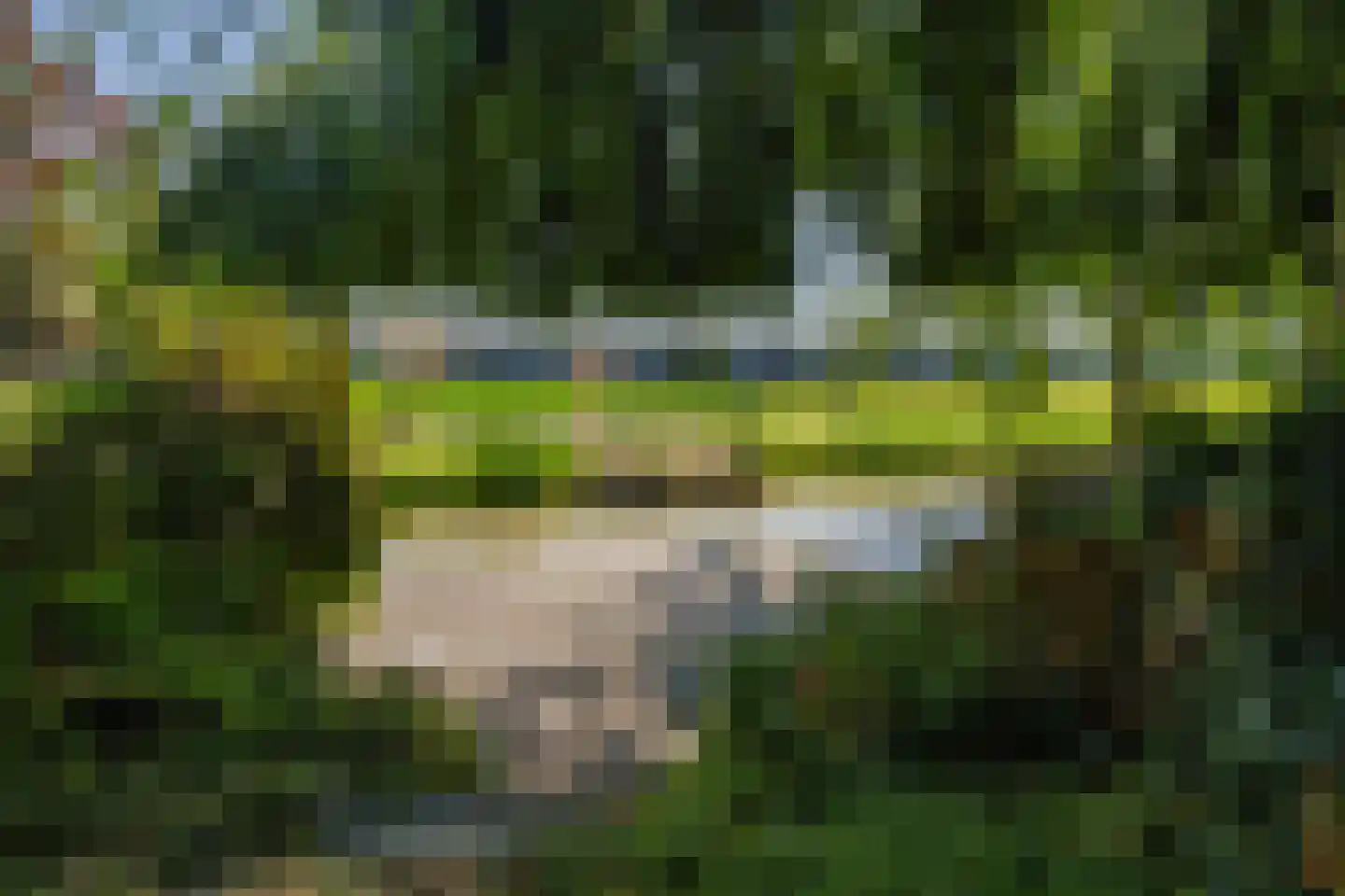 Vlietweg 10 Naaldwijk thumbnail 33