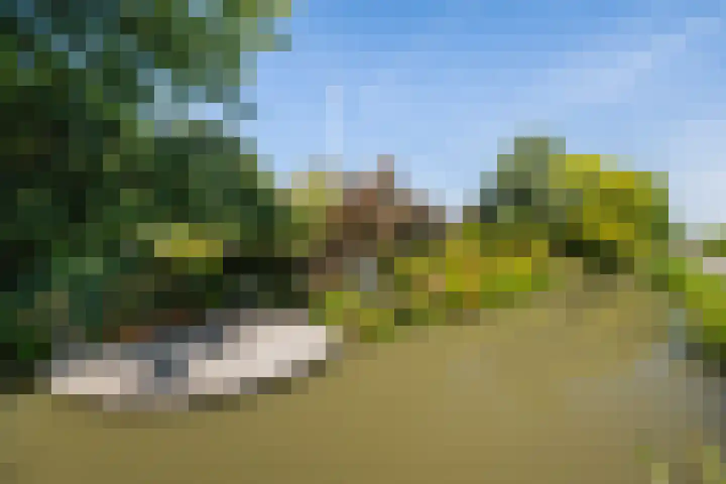 Vlietweg 10 Naaldwijk thumbnail 34
