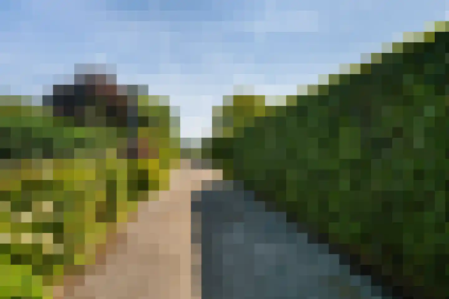 Vlietweg 10 Naaldwijk thumbnail 48