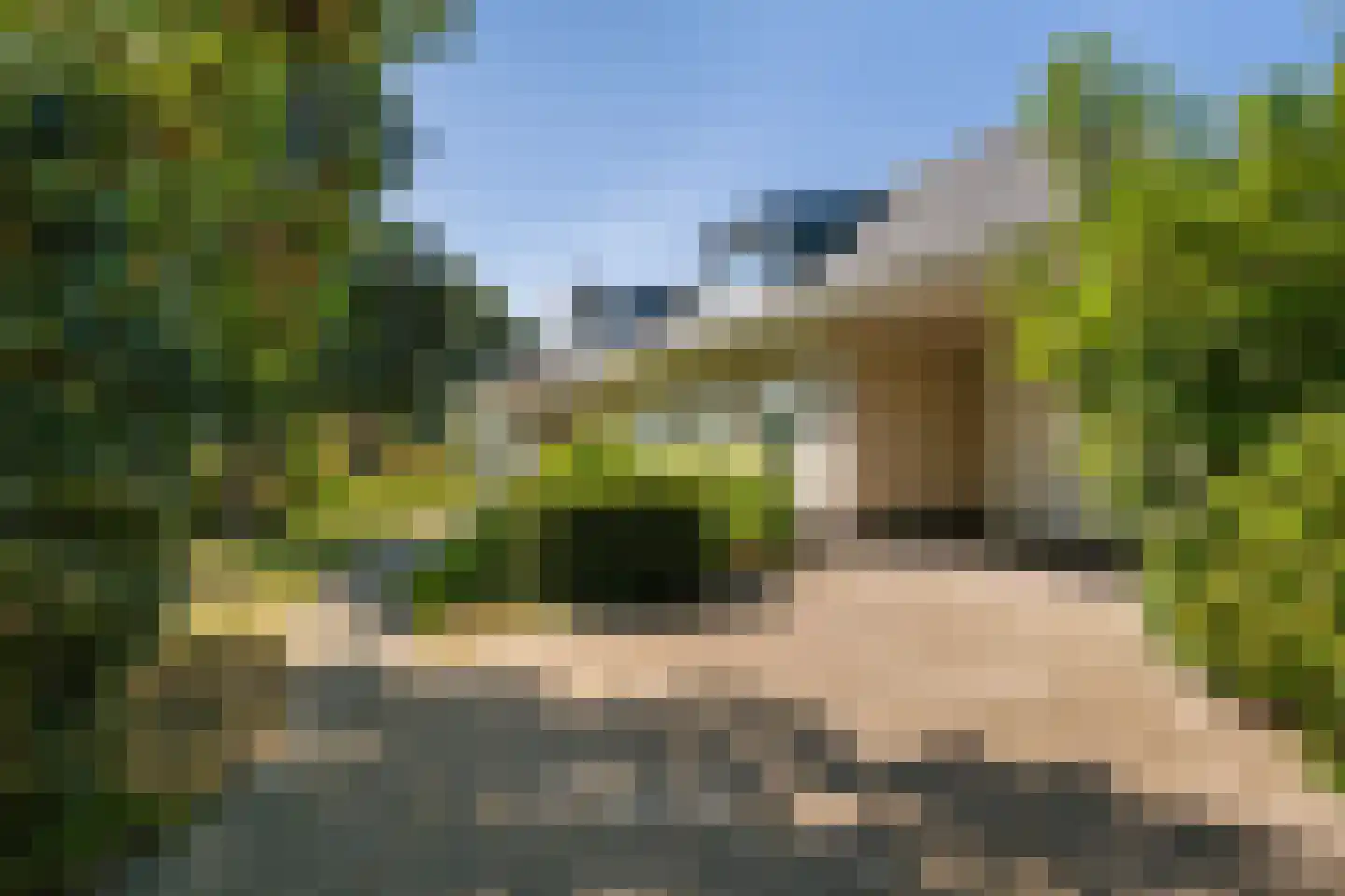 Vlietweg 10 Naaldwijk thumbnail 5
