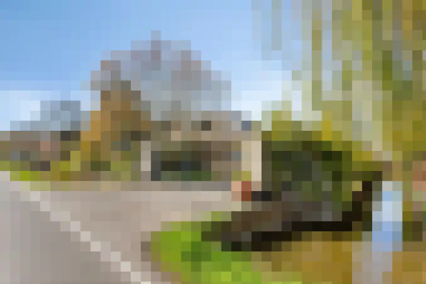 Vlietweg 10 Naaldwijk thumbnail 57