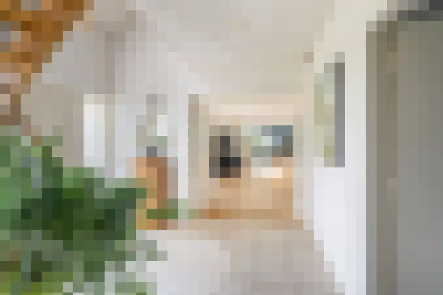 Vlietweg 10 Naaldwijk thumbnail 7