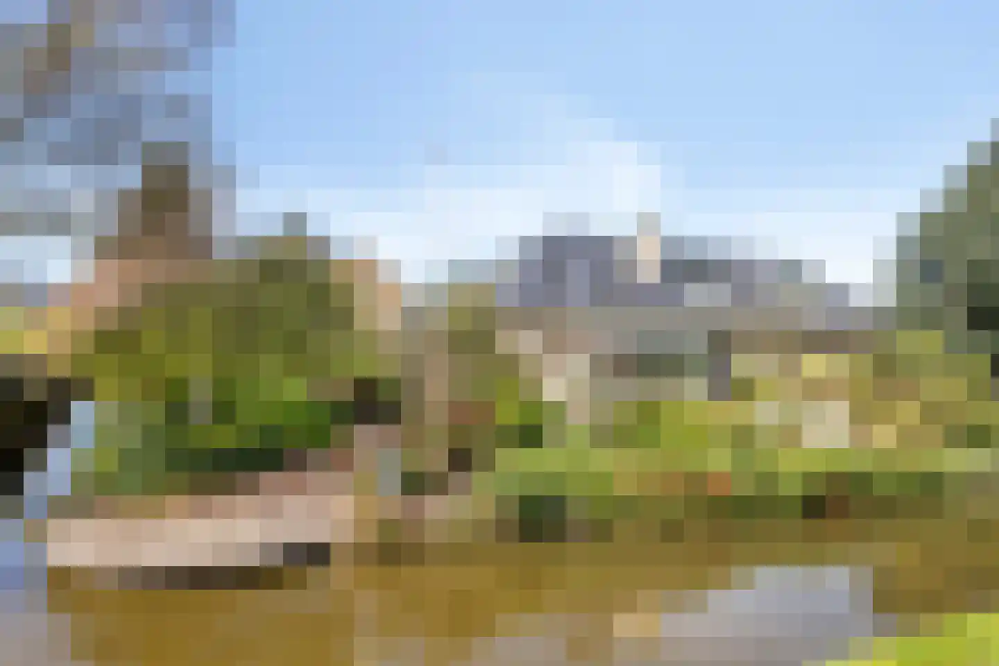 Vlietweg 10 Naaldwijk thumbnail 7