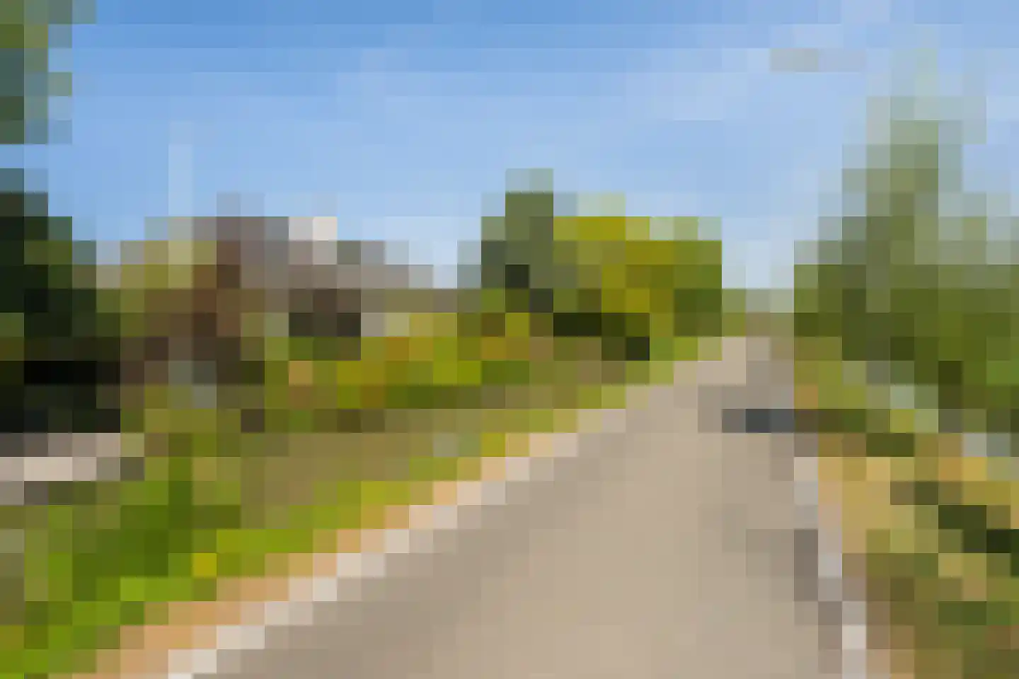 Vlietweg 10 Naaldwijk thumbnail 72