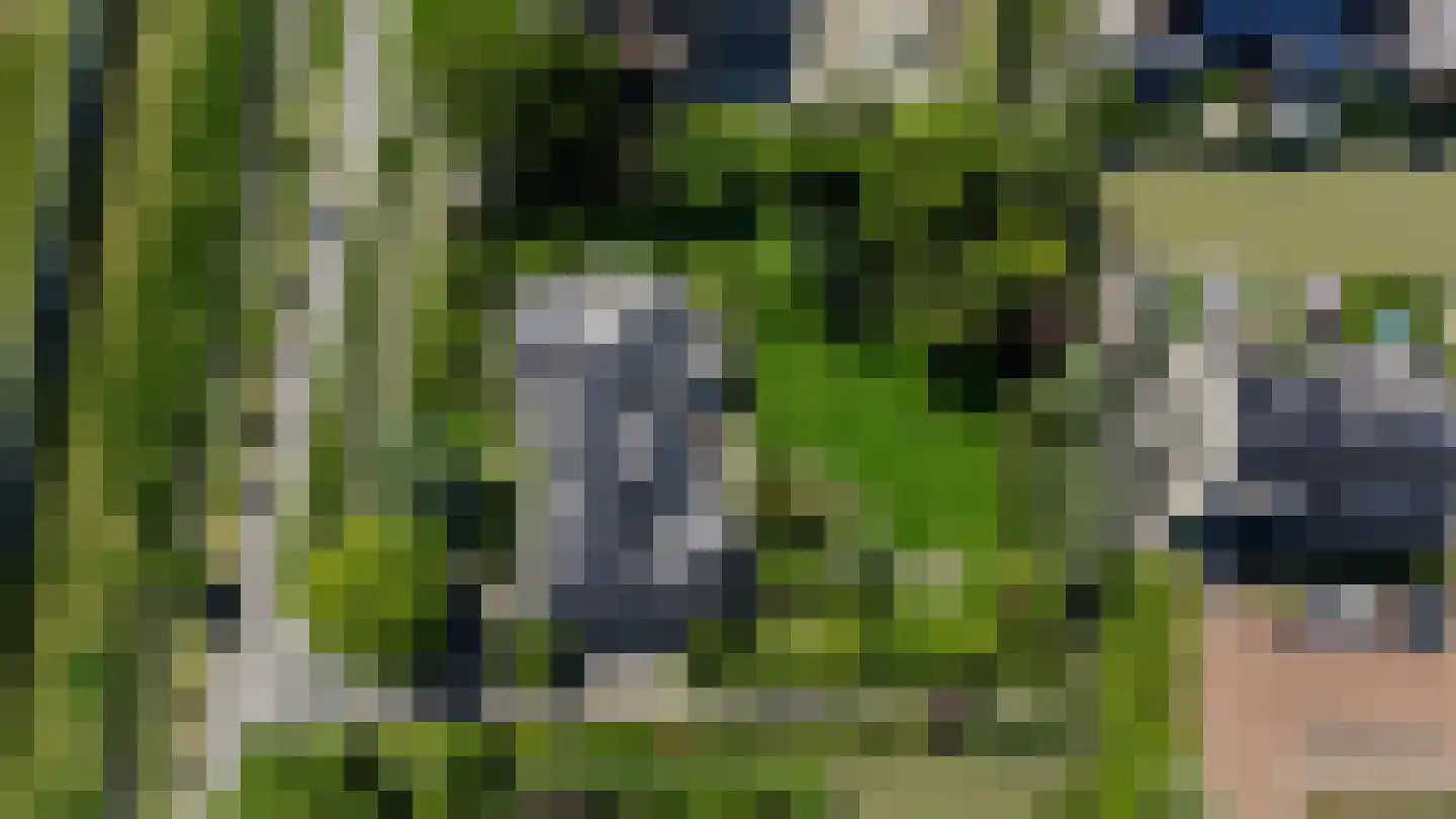 Vlietweg 10 Naaldwijk thumbnail 73