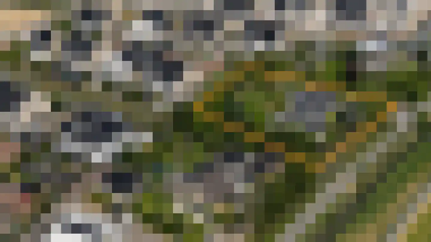 Vlietweg 10 Naaldwijk thumbnail 74