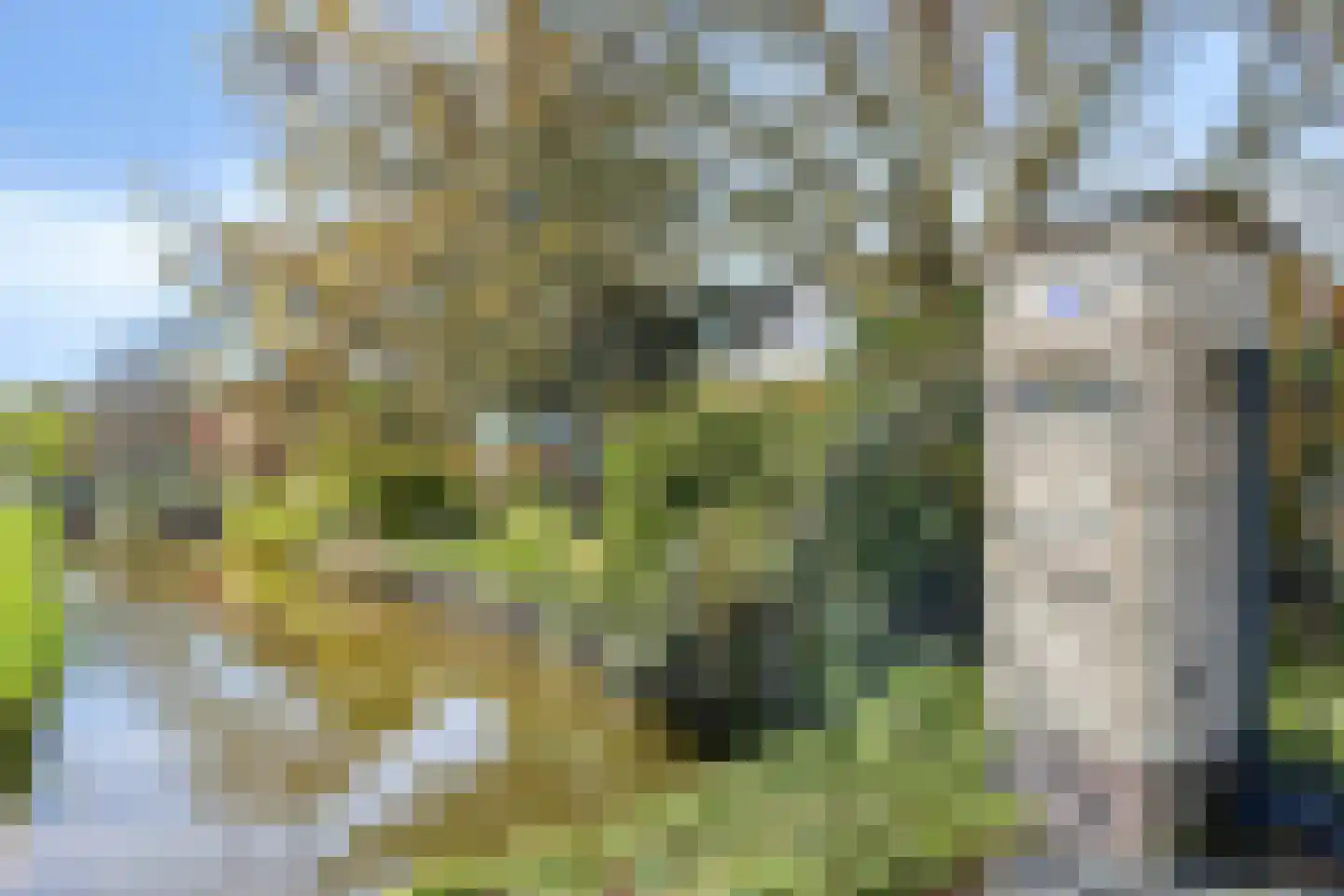 Vlietweg 10 Naaldwijk thumbnail 8